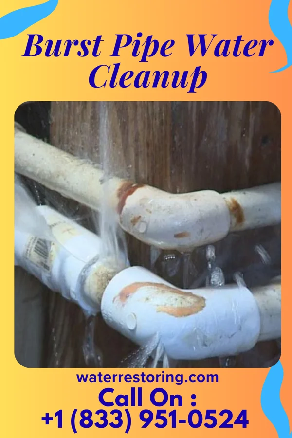 Burst Pipe Water Cleanup in Wonder Lake, IL