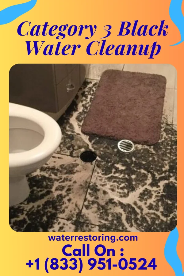 Category 3 Black Water Cleanup in Wonder Lake, IL